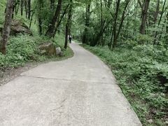 -陕西省红河谷森林公园
