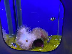 -海合安武汉极地海洋公园