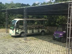 -大塘金香草谷