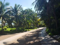 -白沙门生态公园