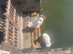 -苏州文庙(姑苏区)