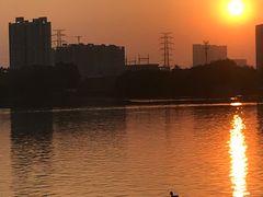 -海珠湖公园