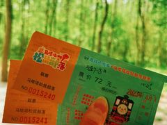 -合肥滨湖国家森林公园