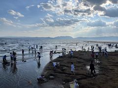 -呈贡滇池生态湿地公园