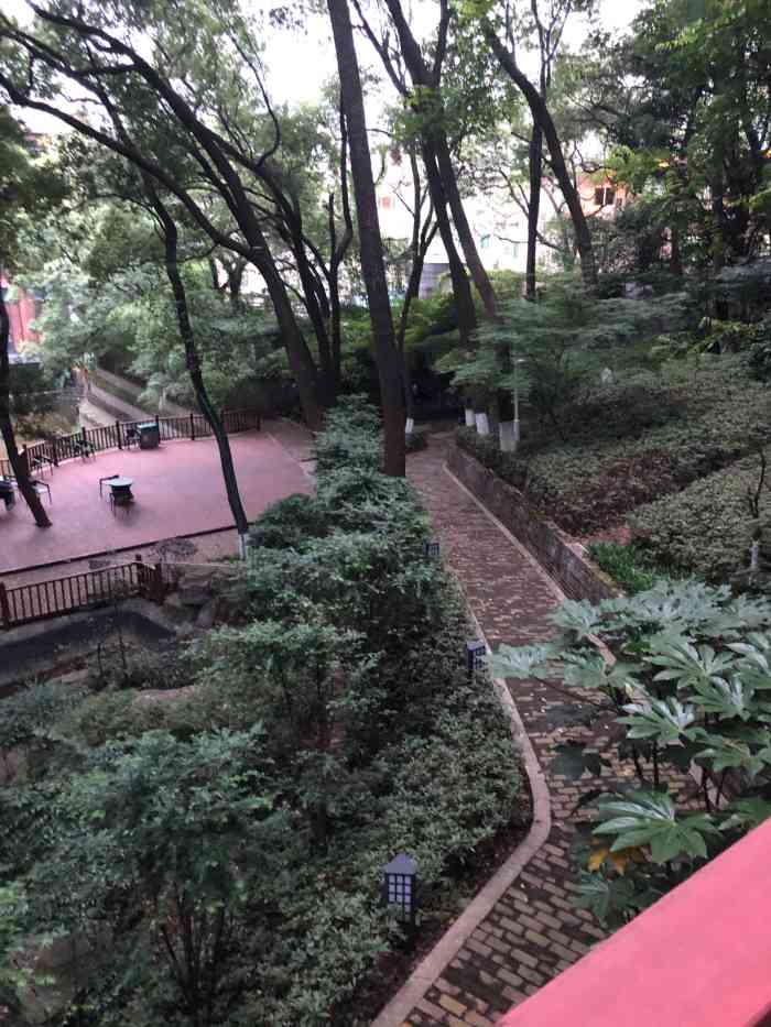 枫林宾馆-"岳麓山下的,很不错的酒店,后面就是山,风."-大众点评移动版