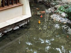 -顺峰·粤菜海鲜·早茶自助(阜成店)