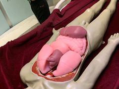 -陕西自然博物馆