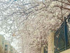 -新世界小天星幼儿园(尚景园)