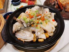 -点都德·毕德寮