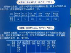 -睿金宠物医院·CT·肿瘤·骨外科