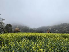 -广州市石门国家森林公园