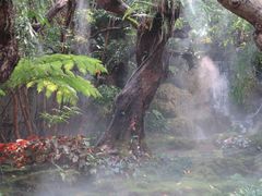 -Chom Cafe and Restaurant