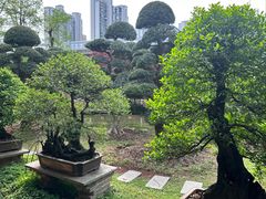 -华雅花园大酒店