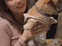 -逗柴咖啡屋·狗咖猫咖宠物桌游