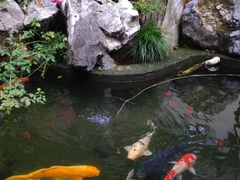 -西湖游船