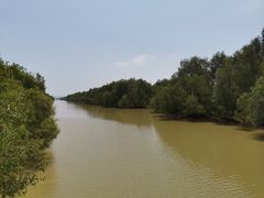 -崖口红树林海鲜餐厅