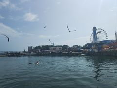-大连圣亚海洋世界