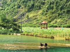 -靖西鹅泉风景区