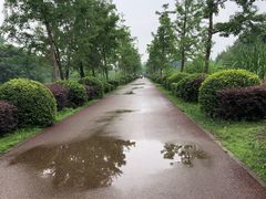 -白鹭湾湿地公园