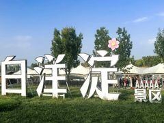 -白洋淀景区