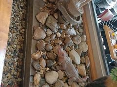 -乌记大厨餐厅