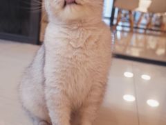 店内环境-Oasis绿洲银饰珍珠手作diy(壹方城店)