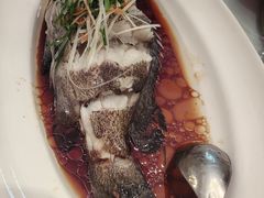 -老洋房花园饭店(绍兴路店)