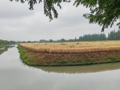-嘉北郊野公园