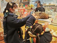 -猫的天空之城概念书店(杭州南宋御街店)