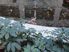 -辽宁省人民医院