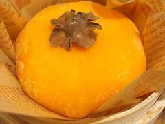 -聂发财重庆江湖菜(解放碑店)