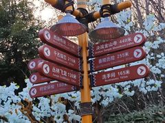 -郑州方特梦幻王国