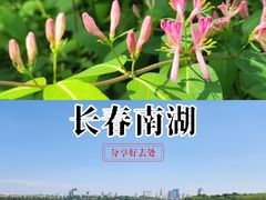 -长春市南湖公园