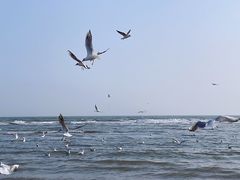 -老虎石海上公园