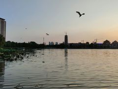 -南山湖公园