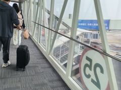 -郑州新郑国际机场-T2航站楼