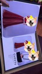 -韩慕婚纱摄影(九亭店)