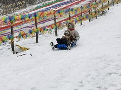 -武陵山森林公园