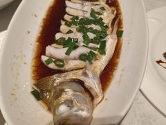 -金美华轩(东方路齐鲁店)