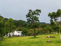 -佛山市三水区大南山森林公园