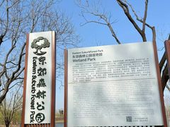 -东郊湿地公园