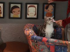 -咖法森林·咖啡  酒吧(天河店)