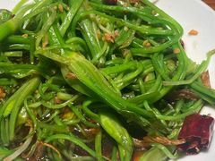 -菌自由丨野生菌火锅特色庭院餐厅(丽江古城店)