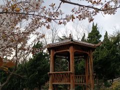 -贮水山儿童公园