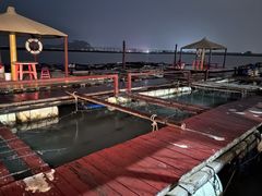 -罗源湾8号渔排