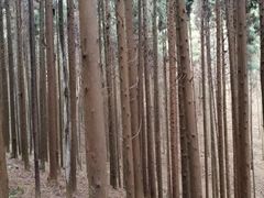 -山王坪喀斯特国家生态公园