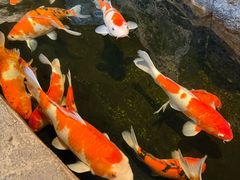 -大连圣亚海洋世界