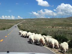 -青海湖国家重点风景名胜区