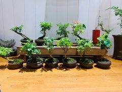 -Rabbit Cafe私房西餐甜点咖啡(栖霞路店)