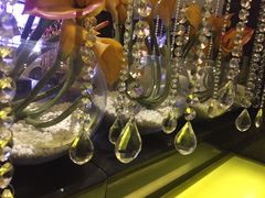 -东方之珠洗浴休闲广场(南开店)